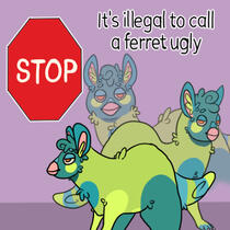 it is illegal to call ferrets ugly meme